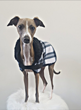 Load image into Gallery viewer, STYLECOM.NZ ~ Pure Envy Designer Dog Coat  Black + White~ Size Small