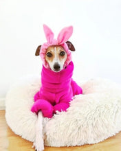 Load image into Gallery viewer, STYLECOM.NZ ~ Plush Hot Pink Pajamas • Size S