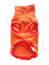 Load image into Gallery viewer, Designer Stylecom.nz bright orange with red contrasting trim Cat and Dog Top
