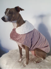 Load image into Gallery viewer, Stylecom.nz Designer Dusty Pink Velvet Sherpa Dog / Puppy Dog Coat. Luxurious and Warm. Made in New Zealand