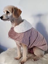 Load image into Gallery viewer, Stylecom.nz Designer Dusty Pink Velvet Sherpa Dog / Puppy Dog Coat. Luxurious and Warm. Made in New Zealand