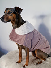 Load image into Gallery viewer, Stylecom.nz Designer Dusty Pink Velvet Sherpa Dog / Puppy Dog Coat. Luxurious and Warm. Made in New Zealand