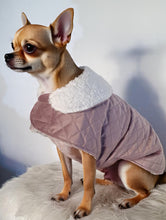 Load image into Gallery viewer, Stylecom.nz Designer Dusty Pink Velvet Sherpa Dog / Puppy Dog Coat. Luxurious and Warm. Made in New Zealand