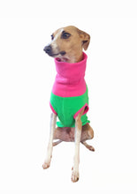 Load image into Gallery viewer, Green and Pink Fleece Dog Top From STYLECOM.NZ