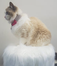 Load image into Gallery viewer, S • Bling Diamante Collar for Dogs + Cats • Hot Pink