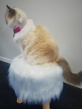 Load image into Gallery viewer, S • Bling Diamante Collar for Dogs + Cats • Hot Pink