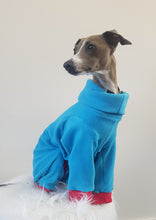 Load image into Gallery viewer, STYLECOM.NZ ~ NZ Designer Dog PJs  Bright Blue + Red Trim ~Size Medium