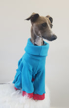 Load image into Gallery viewer, STYLECOM.NZ ~ NZ Designer Dog PJs  Bright Blue + Red Trim ~Size Medium