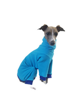 Load image into Gallery viewer, STYLECOM.NZ ~ NZ Designer Dog PJs  Bright Blue + Purple Trim ~ Size Small