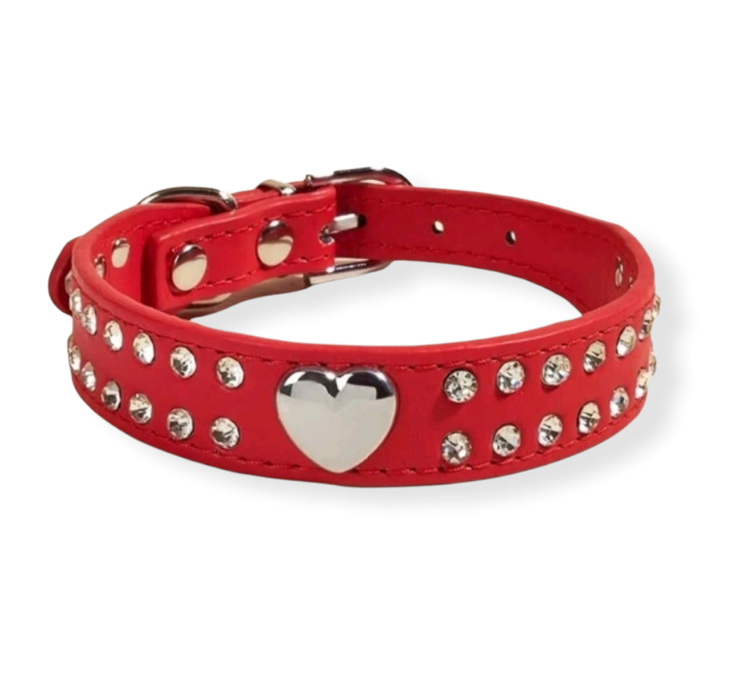 Xs cat hot sale collar