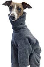Load image into Gallery viewer, STYLECOM.NZ - NZ Designer Dog PJs Grey With Black Trim • Size Medium