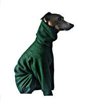 Load image into Gallery viewer, STYLECOM.NZ ~ NZ Designer Dog PJs Forest Green With Lime Trim ~ Size Medium