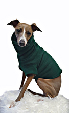 Load image into Gallery viewer, STYLECOM.NZ ~ Designer Dog | Cat Top • Forest Green Double Layer • Size Small