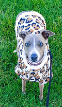 Load image into Gallery viewer, STYLECOM.NZ ~ ANIMAL PRINT + SHERPA TOP • SIZE MEDIUM