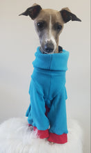 Load image into Gallery viewer, STYLECOM.NZ ~ NZ Designer Dog PJs  Bright Blue + Red Trim ~Size Medium