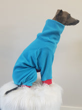 Load image into Gallery viewer, STYLECOM.NZ ~ NZ Designer Dog PJs  Bright Blue + Red Trim ~Size Medium