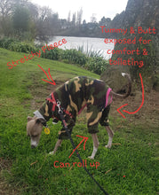 Load image into Gallery viewer, STYLECOM.NZ - NZ Designer Dog PJ's Camouflage - Size S