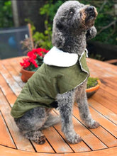 Load image into Gallery viewer, STYLECOM.NZ ▪︎ OLIVE GREEN VELVET SHERPA COAT • SIZE XXS 25cm