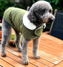 Load image into Gallery viewer, STYLECOM.NZ ▪︎ OLIVE GREEN VELVET SHERPA COAT • SIZE XXS 25cm