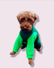 Load image into Gallery viewer, Stylecom.nz Dog Pajamas Bright Green. Made in New Zealand 