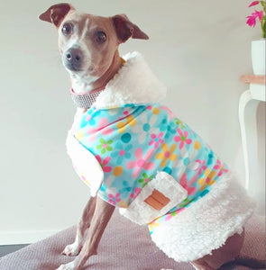 Daisy flower and sherpa dog coat. Beautiful soft, cosy and colorful dog coat from STYLECOM.NZ. Designed for small to medium sized dogs. Made In beautiful New Zealand 