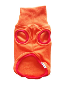 Designer Stylecom.nz bright orange with red contrasting trim Cat and Dog Top
