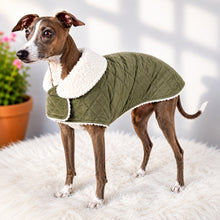 Load image into Gallery viewer, Olive Green velvet sherpa dog coat on Italian Greyhound, handmade in New Zealand by STYLECOM.NZ