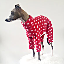 Load image into Gallery viewer, Red And White Polka Dot Dog Pjs. For Small Dogs and Puppys. Made in New Zealand by Stylecom.nz 