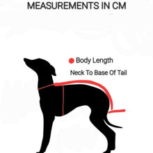 Load image into Gallery viewer, Lagoon &amp; Red Luxe Fleece Top – Dog Clothing NZ | Italian Greyhound Clothing | STYLECOM.NZ
