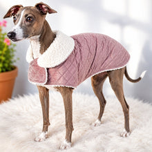 Load image into Gallery viewer, Dusty pink velvet sherpa dog coat on Italian Greyhound, handmade in New Zealand by STYLECOM.NZ
