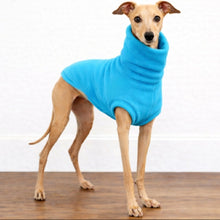 Load image into Gallery viewer, Italian Greyhound small dog wearing Lagoon Blue Luxe Polar Fleece Dog Top. Made in NZ by Stylecom.nz 