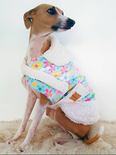 Load image into Gallery viewer, Stylecom.nz Designer Daisy + Sherpa Dog Coat / Jacket. Luxurious and Warm. Made in New Zealand 