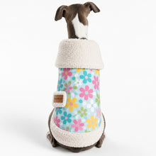 Load image into Gallery viewer, Italian Greyhound wearing White Sherpa Daisy Dog Coat Back View | Handmade in New Zealand