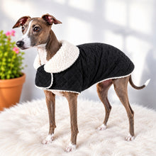 Load image into Gallery viewer, Black velvet sherpa dog coat on Italian Greyhound, handmade in New Zealand by STYLECOM.NZ