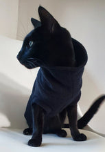 Load image into Gallery viewer, Designer cat or dog black fleece top