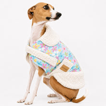 Load image into Gallery viewer, White Sherpa Daisy Dog Coat on Italian Greyhound | Handmade NZ Dog Clothing | STYLECOM.NZ