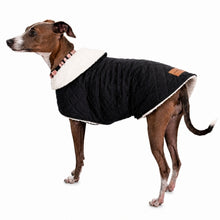 Load image into Gallery viewer, Side view of black velvet sherpa coat designed for Italian Greyhounds and small dogs