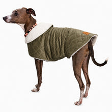 Load image into Gallery viewer, Side view of olive green velvet sherpa coat designed for Italian Greyhounds and small dogs