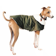 Load image into Gallery viewer, Side view of olive green velvet sherpa coat designed for Italian Greyhounds and small dogs