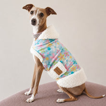 Load image into Gallery viewer, Italian Greyhound wearing White Sherpa Daisy Dog Coat indoors | Handmade in New Zealand
