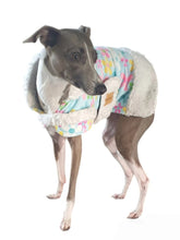 Load image into Gallery viewer, Stylecom.nz Designer Daisy And Sherpa Dog Coat Jacket. Made in New Zealand for small dogs