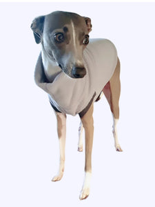 Stylecom.nz designer light grey fleece top for small dogs