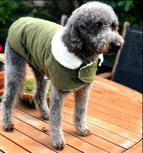 Load image into Gallery viewer, STYLECOM.NZ ▪︎ OLIVE GREEN VELVET SHERPA COAT • SIZE M 40cm