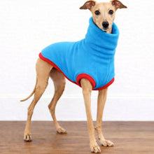 Load image into Gallery viewer, Dog wearing a blue and red fleece coat on a wooden floor with a white background. Designed by Stylecom.nz for small dog breeds