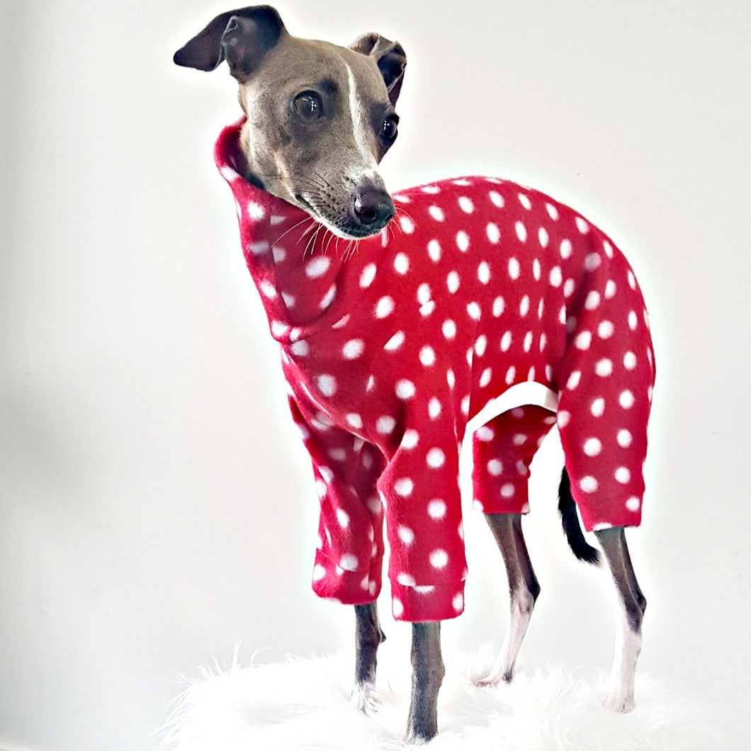 Red And White Polka Dot Dog Pjs. For Small Dogs and Puppys. Made in New Zealand by Stylecom.nz 