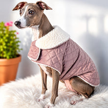 Load image into Gallery viewer, Italian Greyhound wearing dusty pink quilted velvet dog coat with warm white sherpa lining