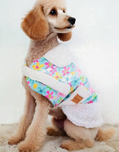 Load image into Gallery viewer, Stylecom.nz Designer Dog Sherpa + Daisy Coat / Jacket. Luxurious and warm. Made in New Zealand 