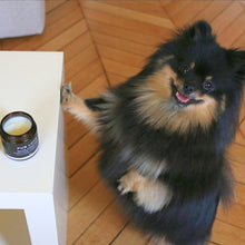 Load image into Gallery viewer, FUR LOVE Lavender Dog Balm NZ – Paw &amp; Skin Balm 100ml | STYLECOM.NZ