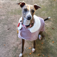 Load image into Gallery viewer, Italian Greyhound wearing STYLECOM.NZ dusty pink sherpa dog coat in New Zealand