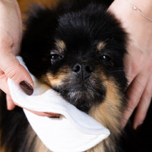 Load image into Gallery viewer, FUR LOVE Dog Micellar Cleansing Spritz NZ – No Rinse Cleanser 250ml | STYLECOM.NZ